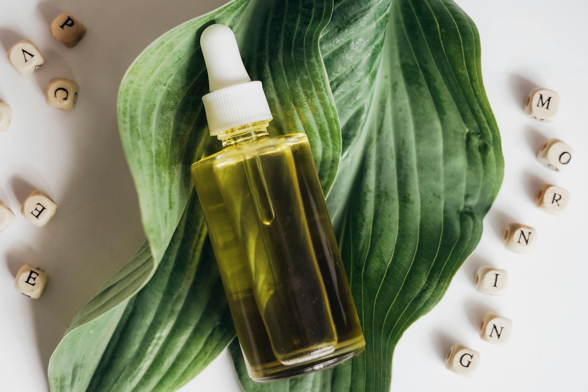 Huile de jojoba : l'huile qui ressemble au sébum naturel — soins naturels artisanaux Normandie